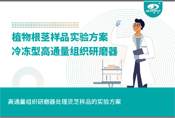 冷凍型高通量組織研磨器處理植物根莖的實驗方案